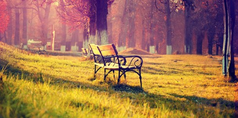 【绿色版】纯净的获取短信验证码平台